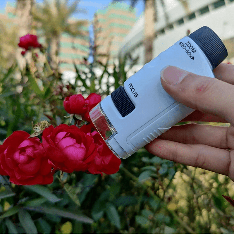 Kids Miniscope - More Than Just A Toy Teeny Pandas