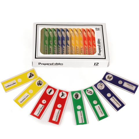 Kids Miniscope - More Than Just A Toy Teeny Pandas