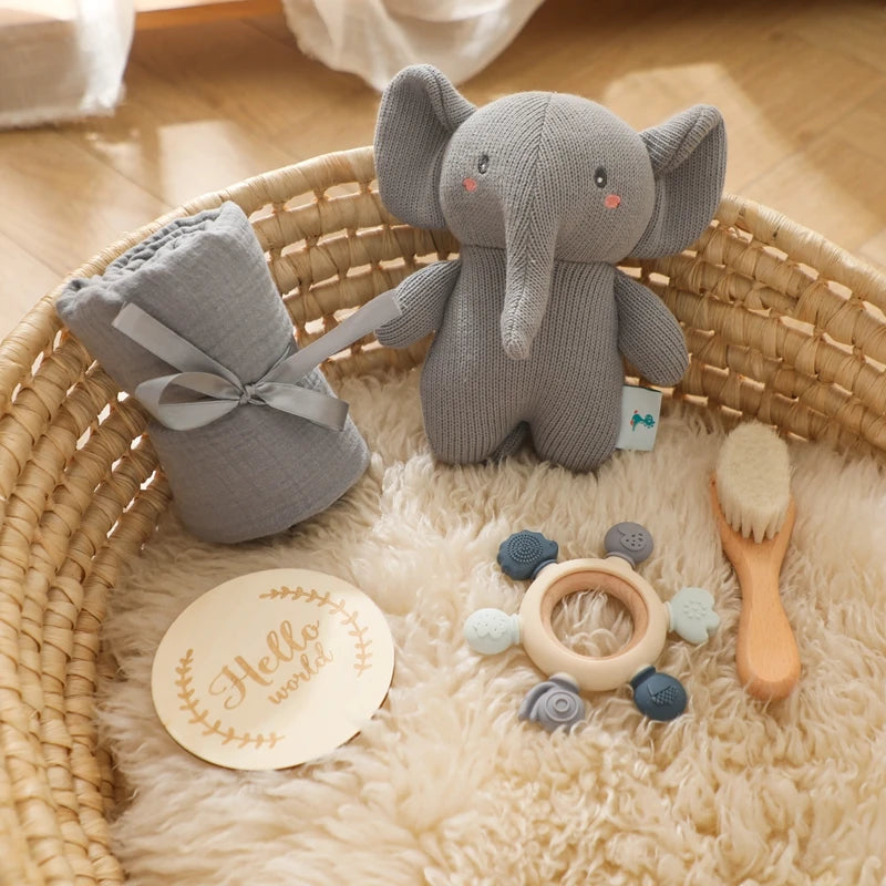 Newborn Baby Gift Set Teeny Pandas