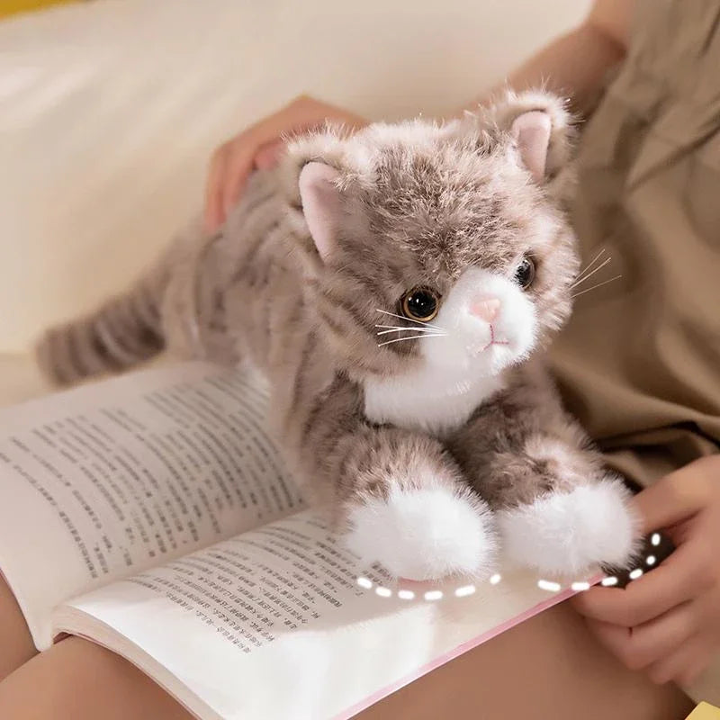 Cute Simulation Cat Plush Toys - product detail view 6
