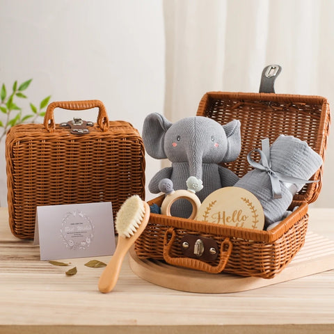 Newborn Baby Gift Set Teeny Pandas