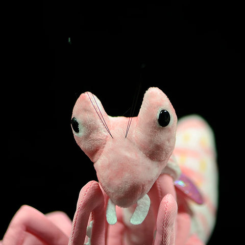 Mantis Plush Toy - Cute Praying Mantis Doll Gift