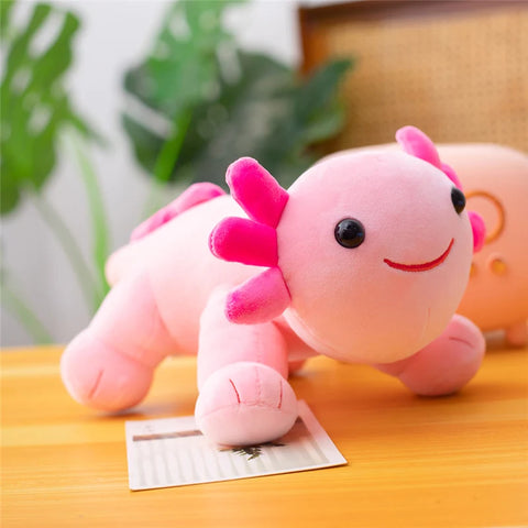 Cute Cartoon Salamander Doll – Axolotl Plush Toy