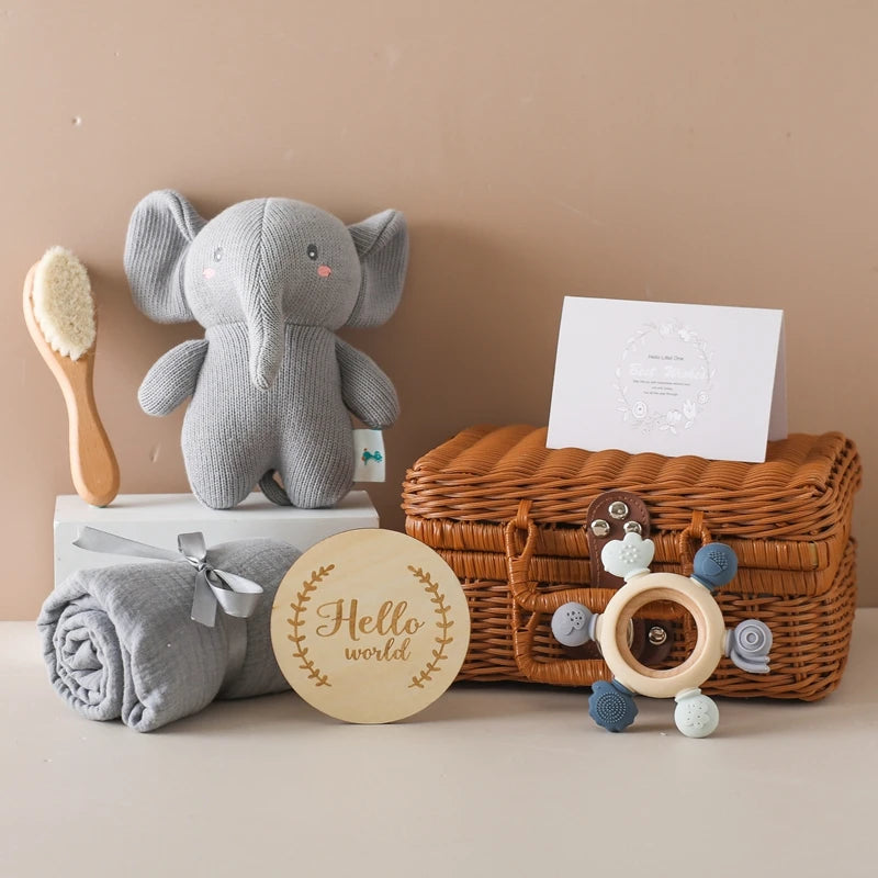 Newborn Baby Gift Set Teeny Pandas