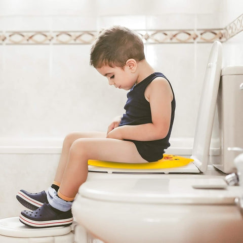 Toddler Folding Potty Seat – Portable and Safe Toilet Training Solution Teeny Pandas